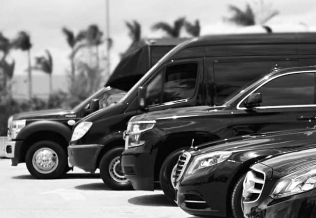 Grayscale image of different type of luxury cars. Mini bus, sprinter, SUV, sedan and comfort.